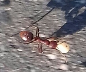 20170703_185241-0--1-1-2.jpg